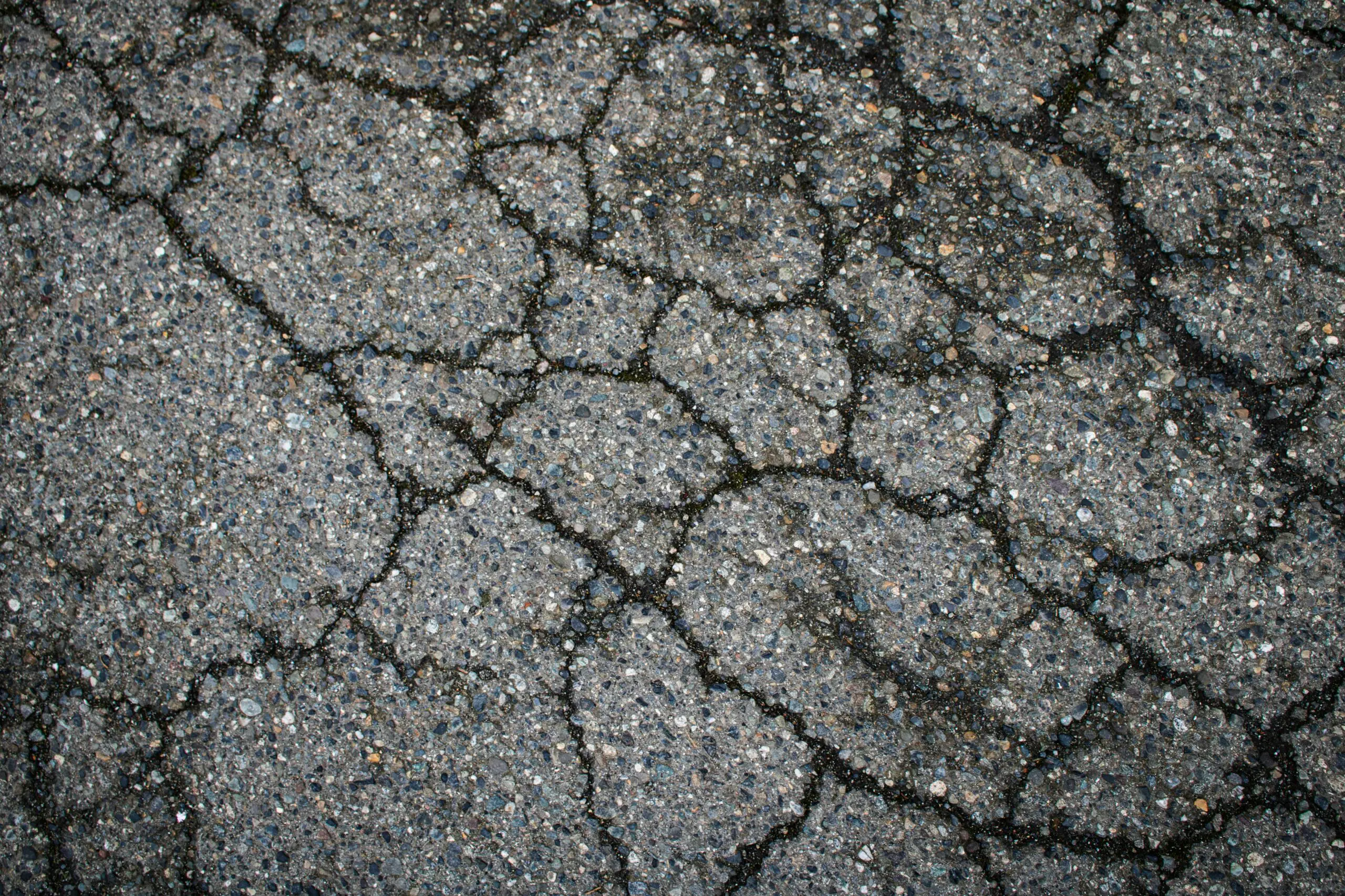 Close-up of cracked asphalt pavement with a network of dark fissures running across the rough surface.