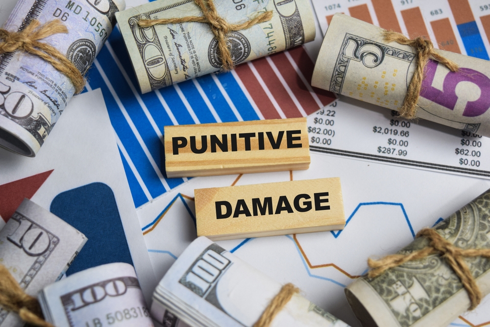 Wooden blocks spelling "punitive damage" surrounded by rolled cash and financial charts